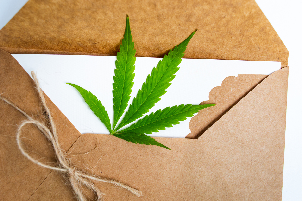 Is Mail Order Weed Legal in Kingston, NY?